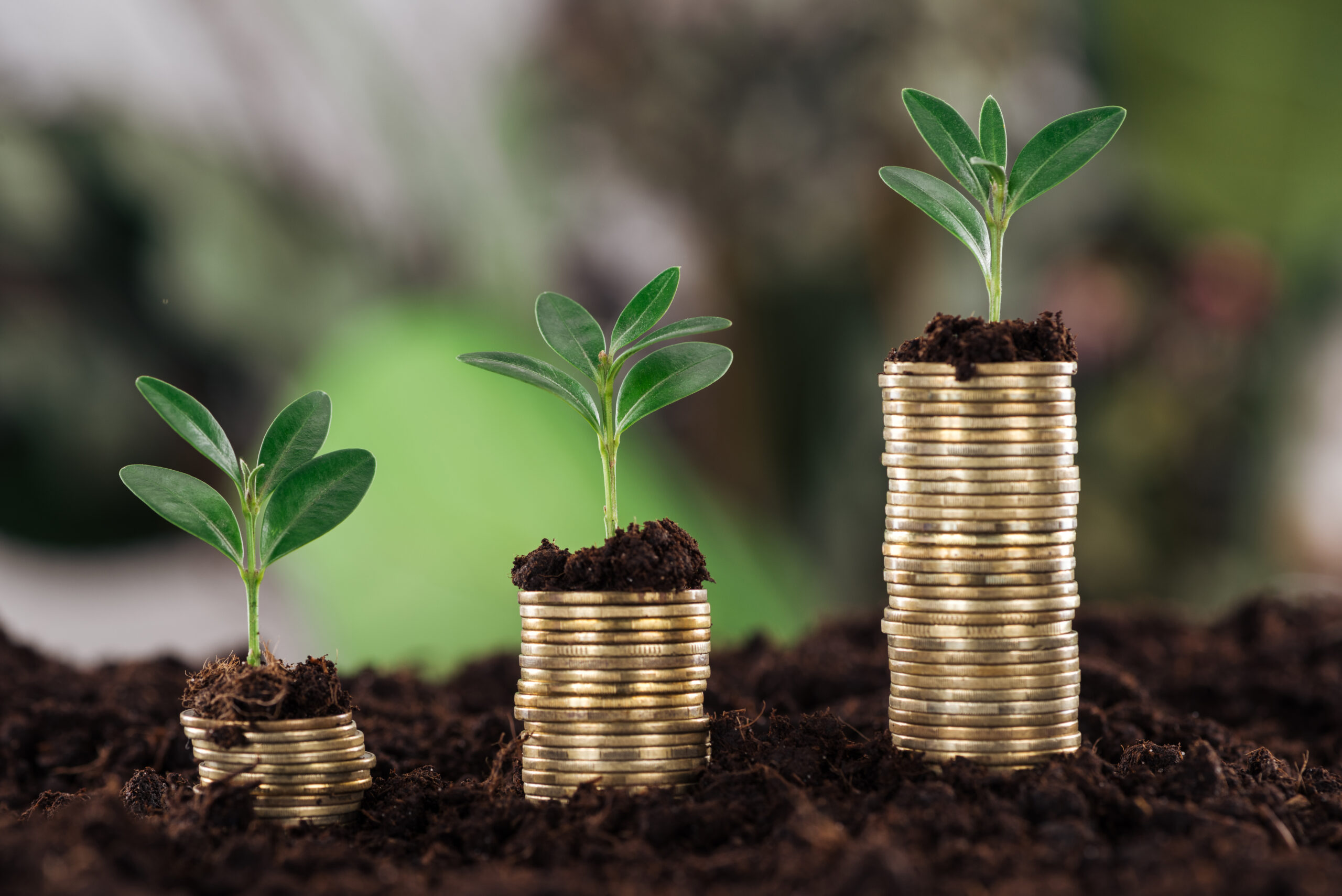 Selective focus of arranged golden coins with green leaves and soil, financial growth concept